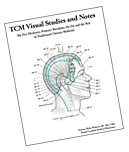 TCM Visual Studies and Notes